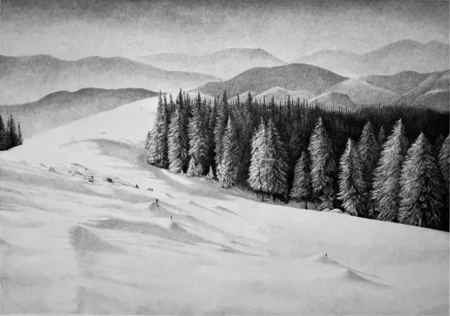 顶级超写实钢笔画,最惊艳的钢笔画大神