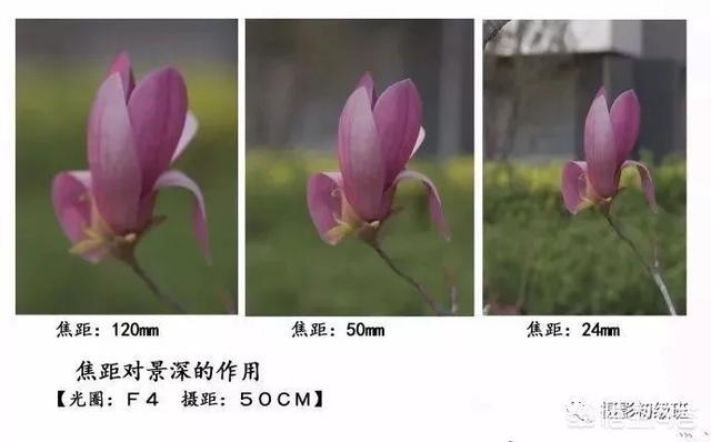 初学者单反相机入门教程,如何学习单反数码相机的简单操作