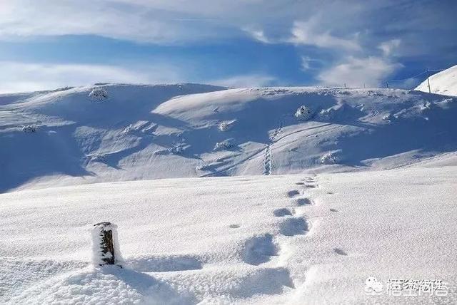 初学者单反相机入门教程,如何学习单反数码相机的简单操作