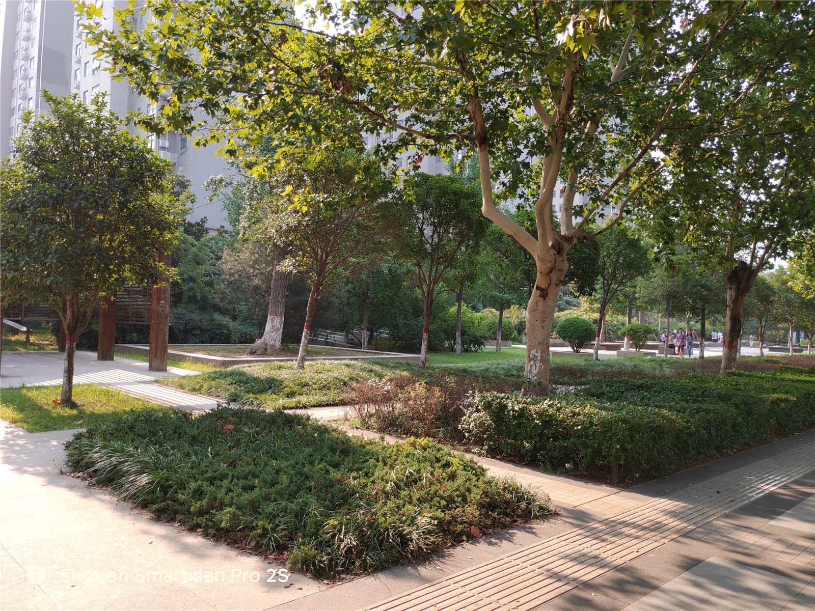 坚果pro2s和坚果pro2区别,锤子坚果pro2s游戏测评