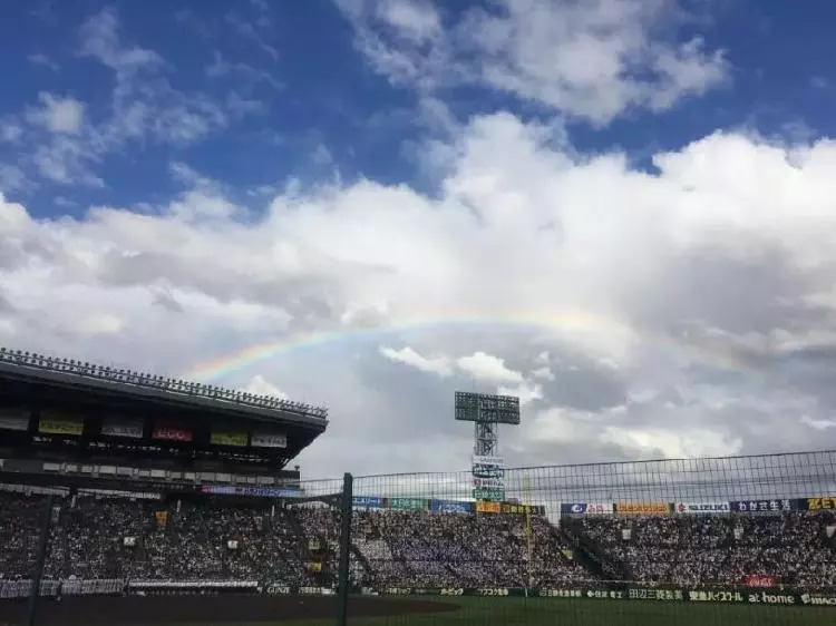 井上雄彦原版漫画,井上雄彦另一部漫画