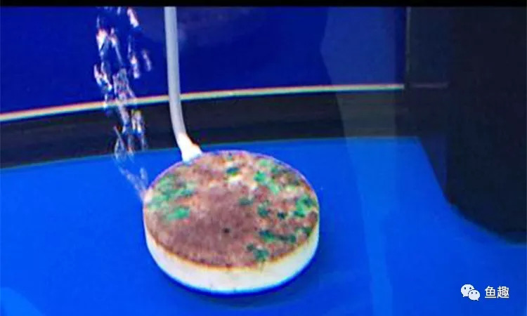 纳米气盘经常堵塞脱落,贵巴巴