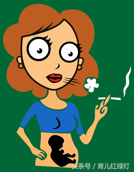 从胚芽到宝宝的形成过程,1-12个月生长发育对照表