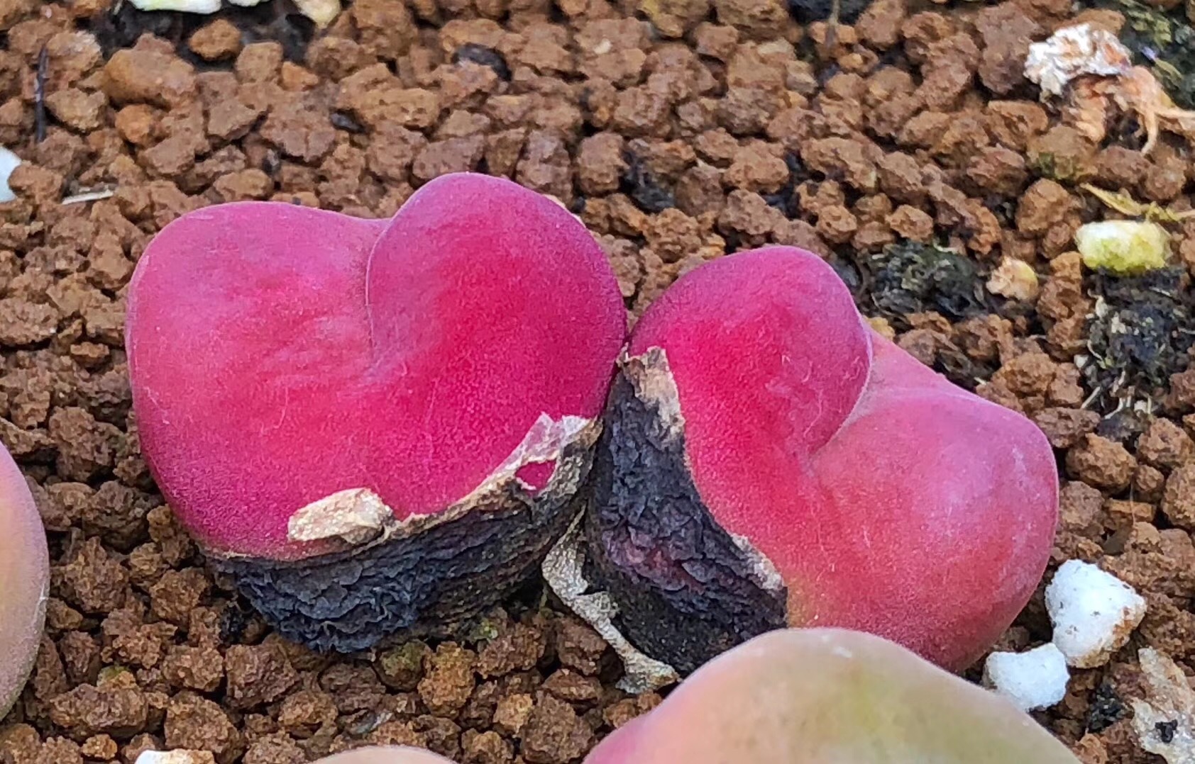 慢生活阅读视频,慢生活阅读