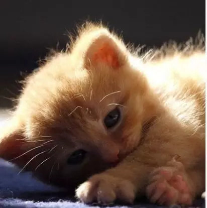 快速拆分单元格的方法,3步快速拆分单元格