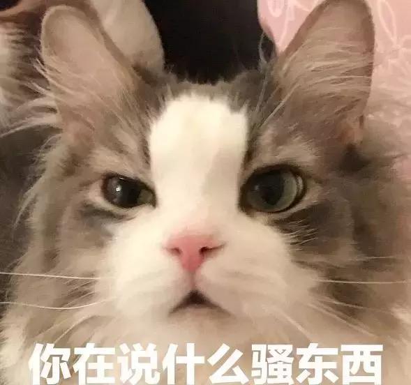 笑到头掉的名场面,笑到头掉的系列