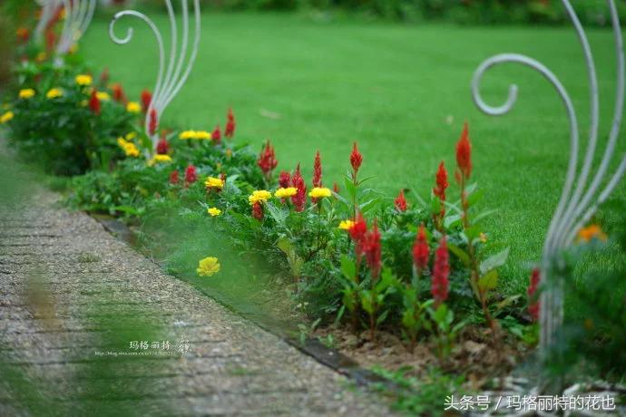 园丁修剪灌木,开满鲜花的小路教学设计一等奖