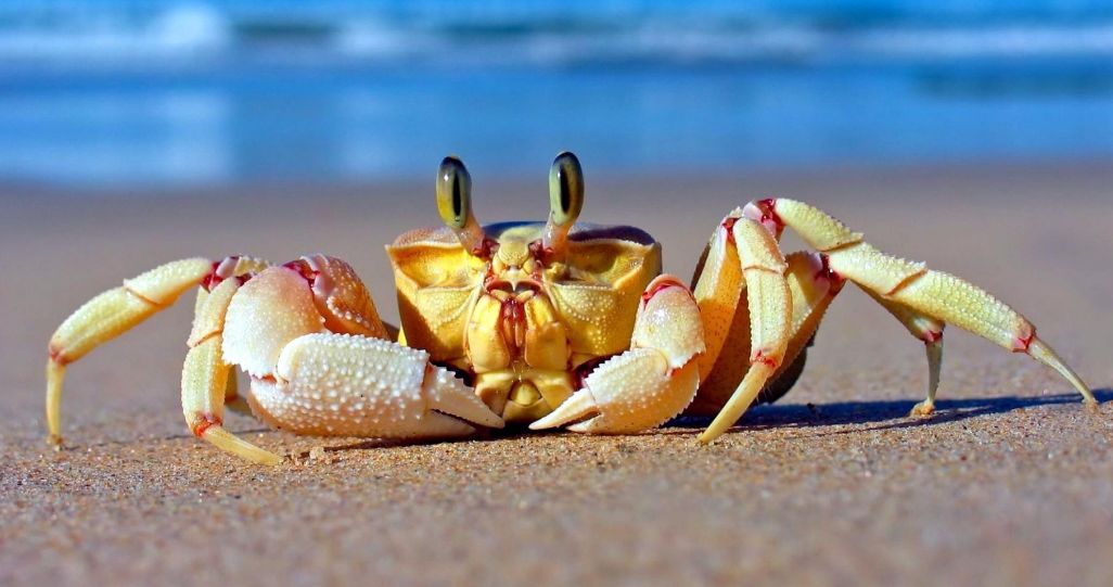 管恩锋简介,管恩锋品读好诗词