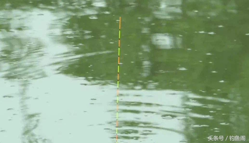 十种钓鱼看漂技巧,钓鱼看漂十大技巧教学