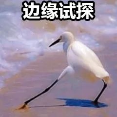 你不知道的国货之光,最让人着迷的国货