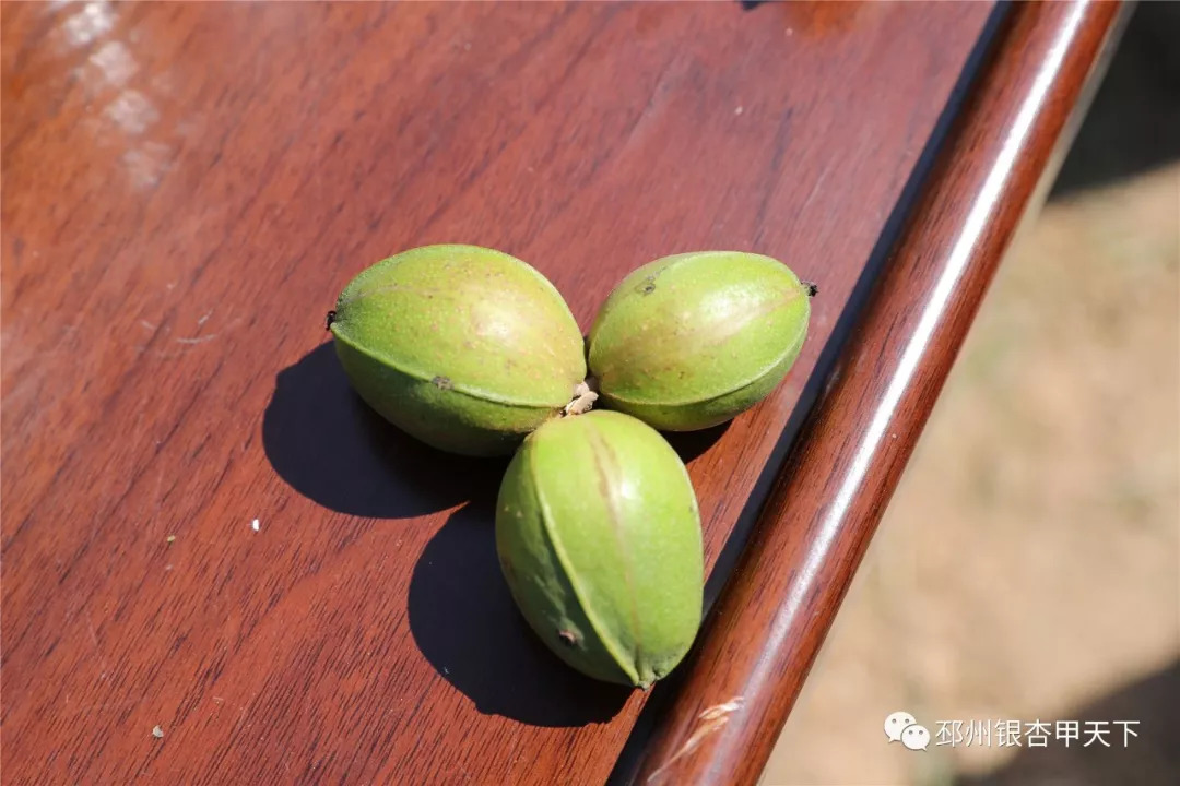 来不及解释了快上车原版视频,来不及解释了快上车动态图