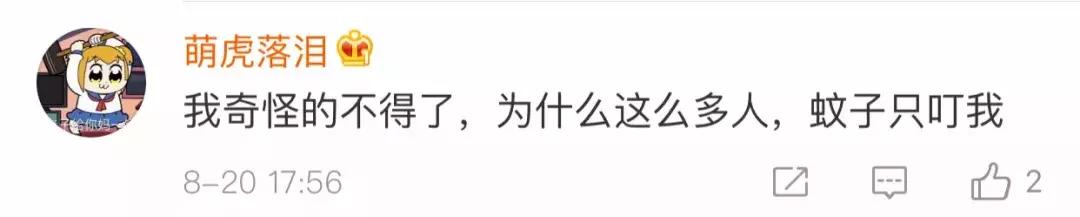 同样九年义务教育为何你如此优秀,都是九年义务教育为何你如此优秀
