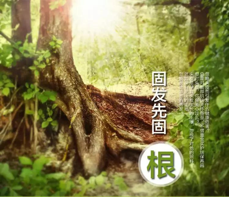 发际线高脱发用什么洗发水,发际线高掉头发洗发水测评