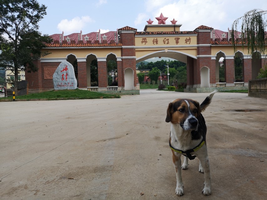 中国行广西之旅,中国行第58天