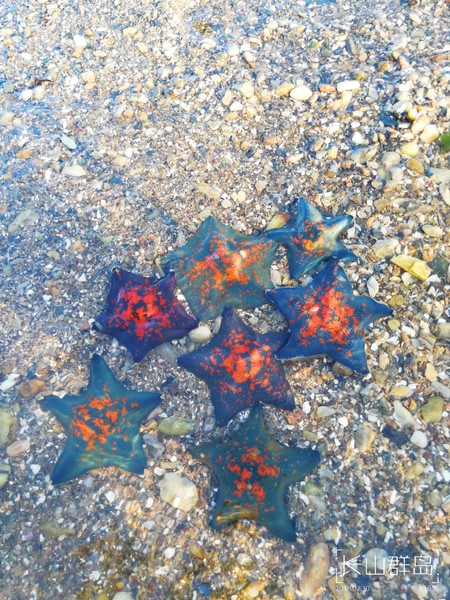 顾影的流水账1：合肥~大连~海拉尔