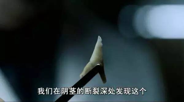 被遗忘的恐怖传说,中国关于猫的鬼怪传说