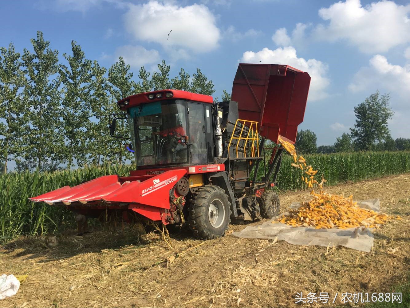 中农博远4yz-6收割机,玉米收获机4yz-3