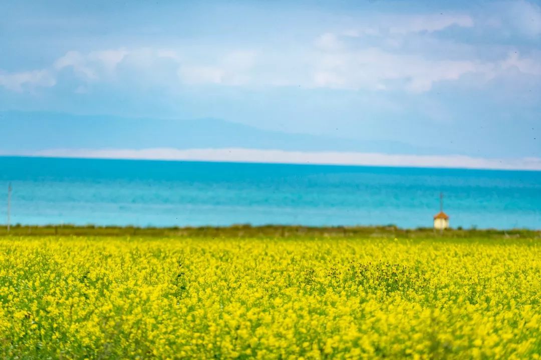 狂野飙车越野,青海穿越美景
