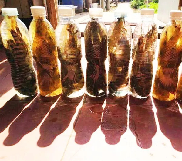 生鲜蔬菜怎么才能保存到最久,夏天生鲜店的蔬菜怎么保存