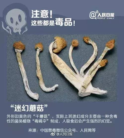 吃后任人摆布！新型*品毒**“蓝精灵”危害是*洛因海**一千倍