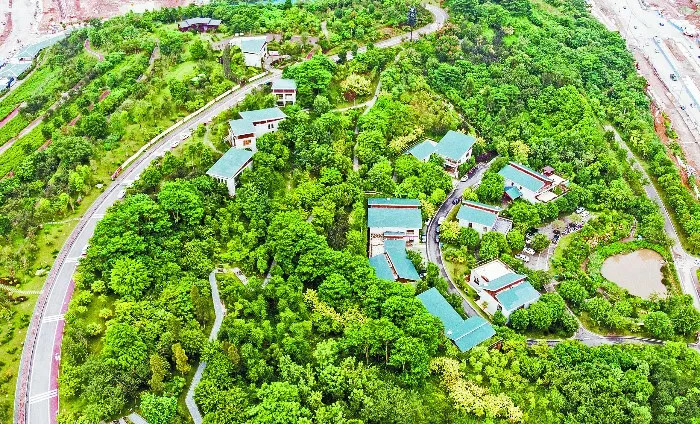 女子发烧7天,女子连续发烧一个星期