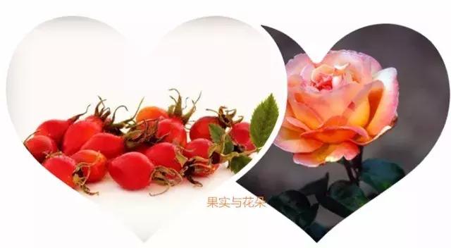 新西兰trilogy趣乐活玫瑰果油眼霜,trilogy萃乐活经典玫瑰果油怎么用