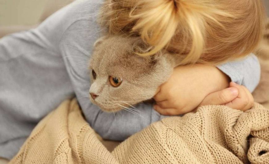 养猫人吸入猫毛的危害,猫毛会被人吃进肚子会怎么样