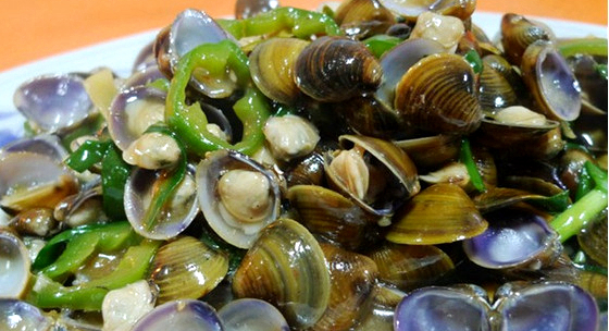 海边贝类种类,各种贝类的名称