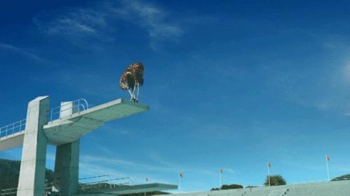 便便时被水溅到屁股怎么办？教你科学压水花，成为厕所王者