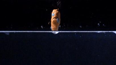 便便时被水溅到屁股怎么办？教你科学压水花，成为厕所王者