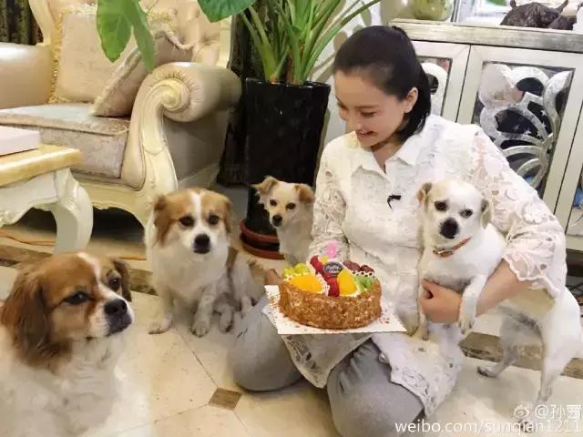 揭秘素食:那些漂亮的女孩们为何不馋肉?