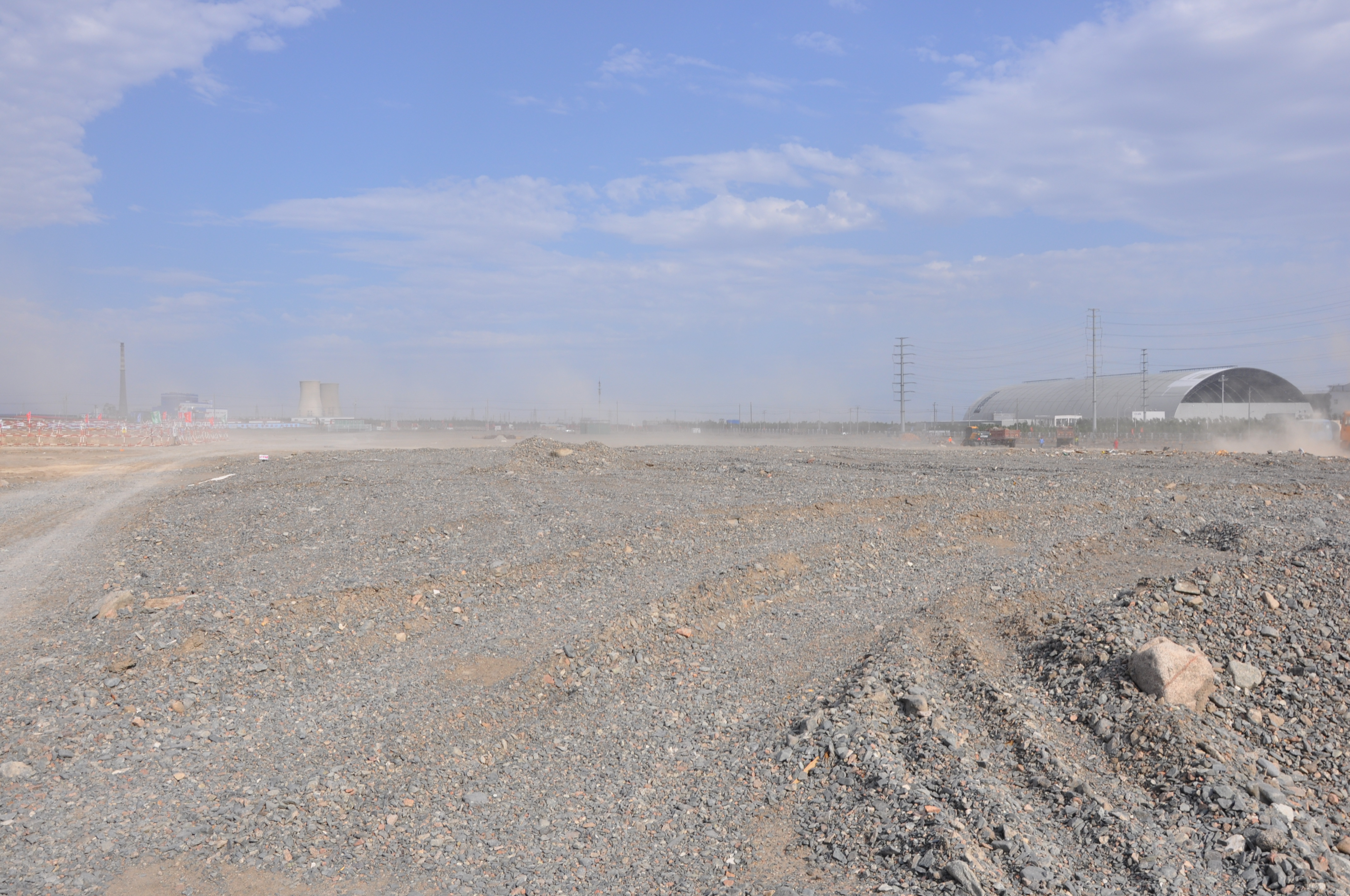 顽强的树视频,顽强的树歌曲