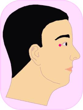 去脸上细纹的好方法,怎么抚平脸上细纹