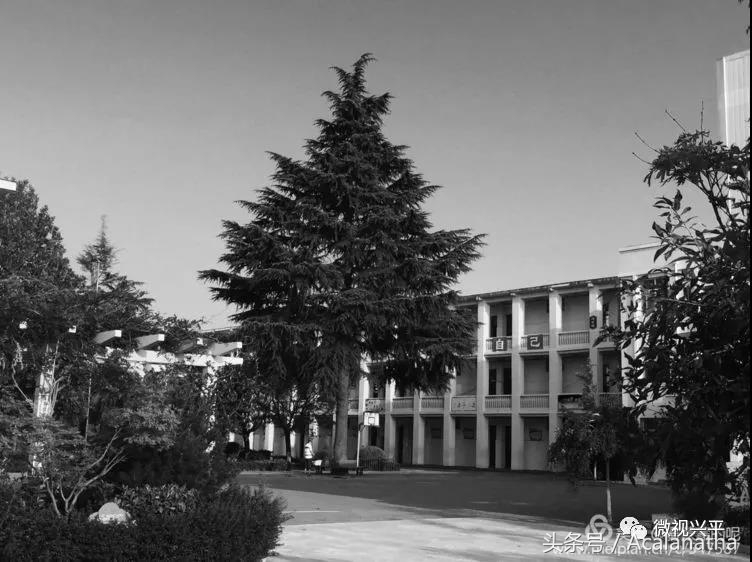 兴平：我的故乡我的云一一70后纤维厂纪事