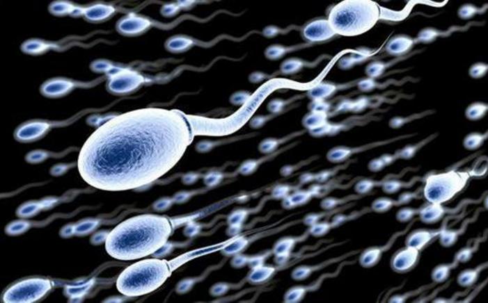 发现还没出生的小蝌蚪,盘点那些还没有投胎的宝宝