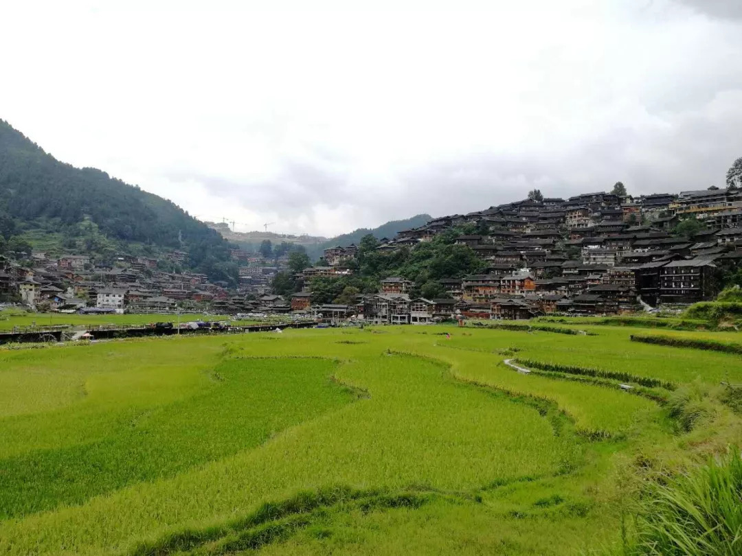 暑假生活打开暑假的100种方式,暑假生活经历了哪些新鲜事100字