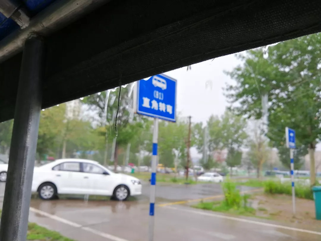 暑假生活打开暑假的100种方式,暑假生活经历了哪些新鲜事100字