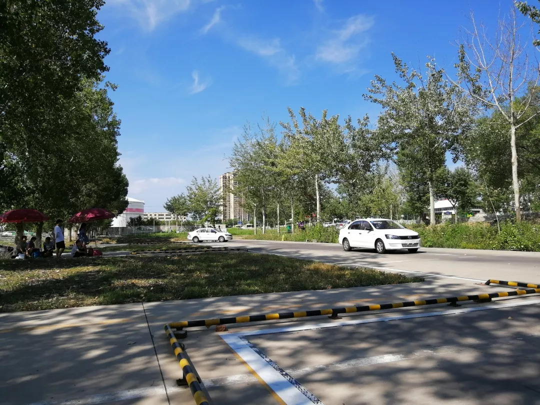 暑假生活打开暑假的100种方式,暑假生活经历了哪些新鲜事100字