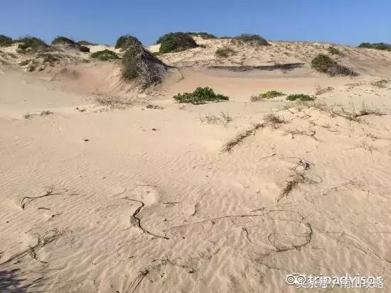 去这些地方“不穿衣服”才是正经事儿！全球最让人激动亢奋10海滩