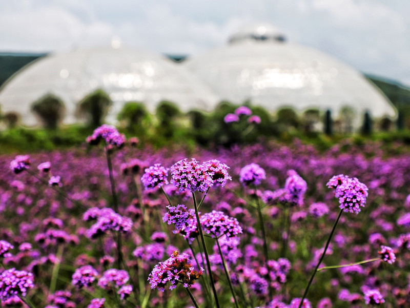 苏皖浙三省交界处,秋冬广德旅游攻略