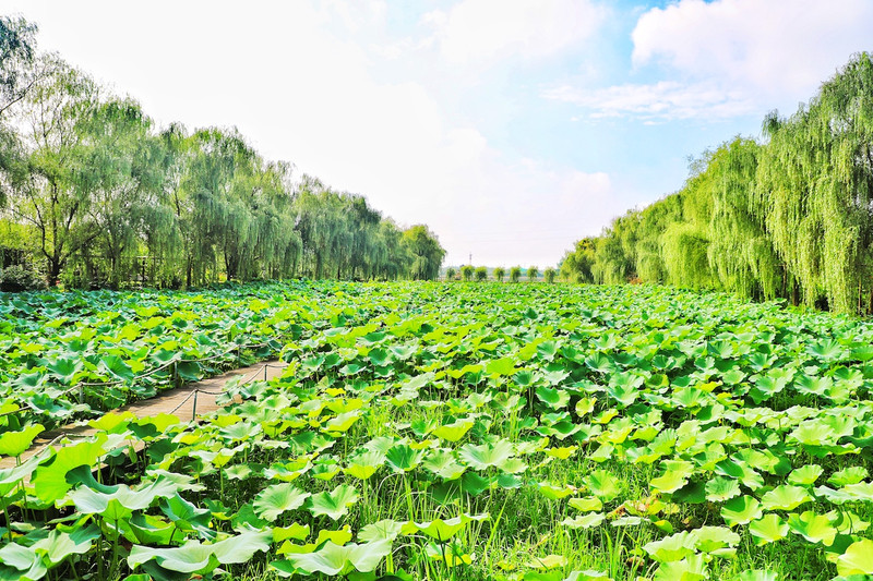 苏皖浙三省交界处,秋冬广德旅游攻略