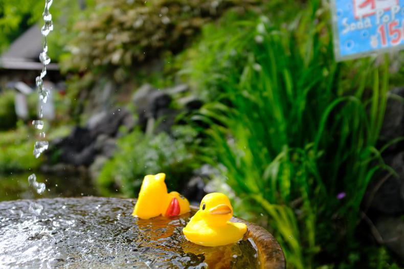 一个自称高达迷的媳妇迷拎包客的日本蜜月之行，幸福满满~