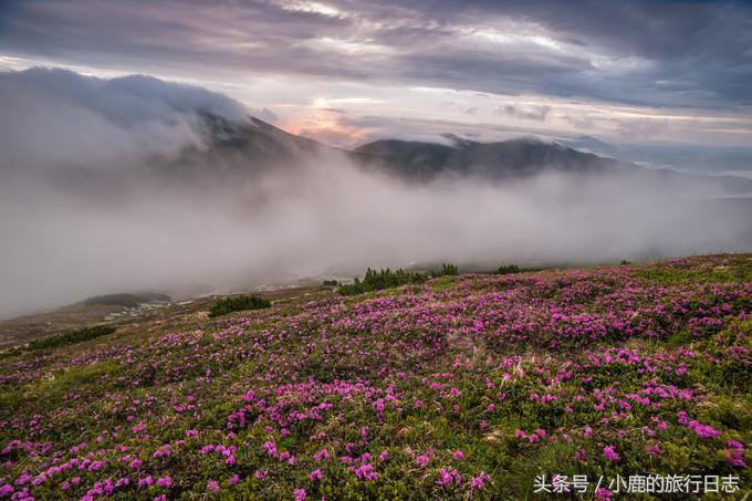苍山一天怎么玩,苍山怎么玩不累