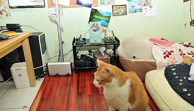 电脑音响还要声卡吗,电脑音响需要配功放吗