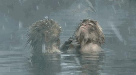 「涨姿势」哎呦羞羞，关于“小蝌蚪”的那些事儿！