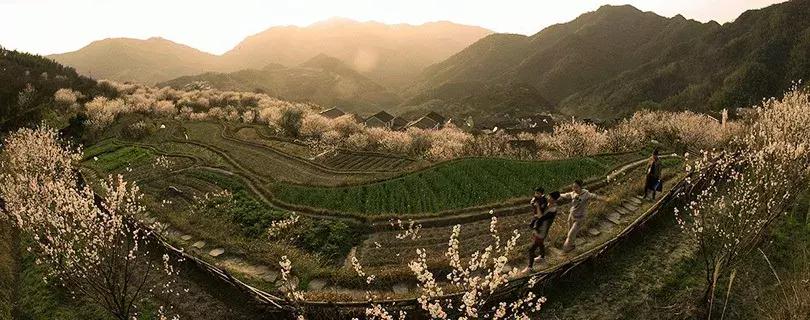 99%的人念错了名字！这份和浙江有关的考试，你可能要不及格！