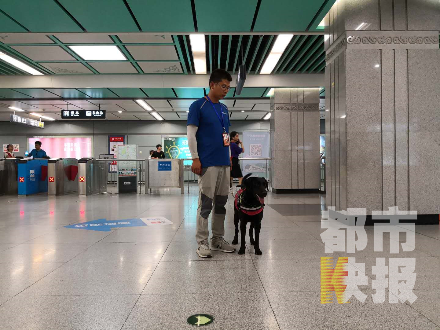 “温顺大肢”导盲犬预计十月将上岗符合条件盲人可免费获取