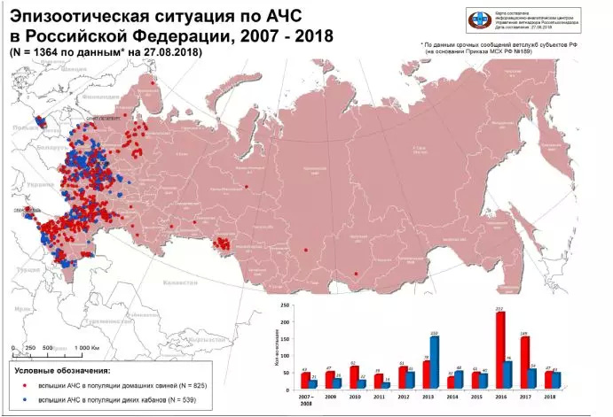 俄罗斯为什么没防住非洲猪瘟?