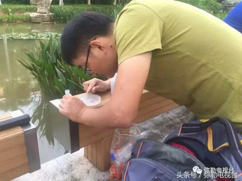 弥勒蚊虫消杀,弥勒病媒消杀