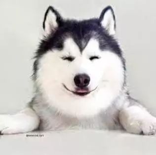 生活性常识必读,生活必备手册